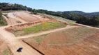 Foto 13 de Lote/Terreno à venda, 240m² em Cruzeiro, Bento Gonçalves