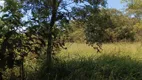 Foto 57 de Fazenda/Sítio à venda, 50000m² em Ponte Alta Norte, Brasília