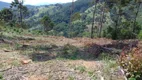 Foto 19 de Fazenda/Sítio à venda, 96800m² em Zona Rural, Delfim Moreira