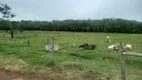 Foto 16 de Fazenda/Sítio com 3 Quartos à venda, 532400m² em Zona Rural, Israelândia