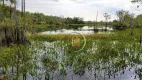 Foto 2 de Fazenda/Sítio à venda, 5856400m² em Zona Rural, Britânia