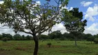 Foto 13 de Fazenda/Sítio com 3 Quartos à venda, 42000m² em Chácaras De Recreio Samambaia, Goiânia