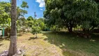 Foto 6 de Fazenda/Sítio com 5 Quartos à venda, 300m² em Jardim Esmeralda, Pirenópolis