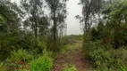 Foto 17 de Lote/Terreno à venda, 20000m² em Linha Imperial, Nova Petrópolis