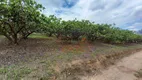 Foto 4 de Fazenda/Sítio com 3 Quartos à venda, 180m² em Macuco, Valinhos