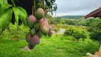 Foto 53 de Fazenda/Sítio com 4 Quartos à venda, 4500m² em , Simão Pereira