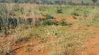 Foto 16 de Fazenda/Sítio à venda em Zona Rural, Santa Terezinha de Goiás