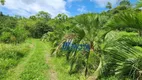 Foto 33 de Fazenda/Sítio com 3 Quartos à venda, 150m² em Lagoinha, Tijucas do Sul