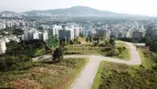 Foto 9 de Lote/Terreno à venda, 490m² em Itacorubi, Florianópolis