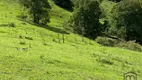 Foto 7 de Fazenda/Sítio com 8 Quartos à venda, 245000m² em , Piracaia