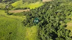Foto 18 de Fazenda/Sítio com 1 Quarto à venda, 450000m² em Zona Rural, Botelhos