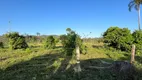 Foto 22 de Lote/Terreno à venda, 190000m² em Centro, Araquari