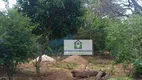 Foto 5 de Fazenda/Sítio com 5 Quartos à venda, 2000m² em Zona Rural, São José do Rio Preto