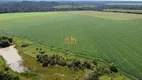 Foto 8 de Fazenda/Sítio à venda, 79000000m² em Centro, Porto dos Gaúchos