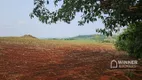 Foto 16 de Fazenda/Sítio com 3 Quartos à venda, 100m² em Agua Boa, Paiçandu