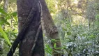 Foto 21 de Fazenda/Sítio à venda, 180000m² em Rio do Poncho, São Bonifácio