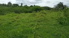 Foto 9 de Fazenda/Sítio à venda, 20000m² em Novo Amarante, São Gonçalo do Amarante