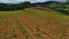 Foto 64 de Fazenda/Sítio com 3 Quartos à venda, 70m² em Zona Rural, São Lourenço