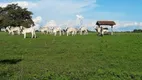 Foto 23 de Fazenda/Sítio à venda, 40000m² em Zona Rural, Araguapaz