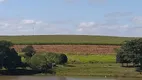 Foto 6 de Fazenda/Sítio com 2 Quartos à venda, 65m² em Zona Rural, Quadra