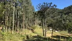 Foto 16 de Fazenda/Sítio à venda, 919600000m² em Centro, Rio Branco do Sul