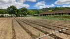 Foto 9 de Lote/Terreno à venda, 63000m² em Inacia de Carvalho, São José da Lapa