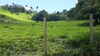 Foto 7 de Fazenda/Sítio à venda, 20000m² em Zona Rural, Caeté