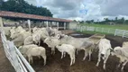 Foto 5 de Fazenda/Sítio com 3 Quartos à venda, 10500m² em Zona Rural, Brejinho