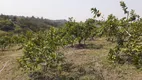 Foto 8 de Fazenda/Sítio com 2 Quartos à venda, 24000m² em Macuco, Valinhos