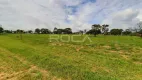 Foto 2 de Lote/Terreno à venda, 1031m² em Vila Pinhal, Itirapina