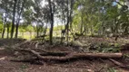 Foto 27 de Lote/Terreno à venda, 10000m² em , Monte Belo do Sul