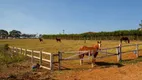 Foto 13 de Fazenda/Sítio com 4 Quartos à venda, 484000m² em Jardim XI de Agosto, Tatuí