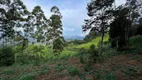 Foto 4 de Lote/Terreno à venda, 42000m² em Centro, Gonçalves