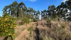 Foto 12 de Lote/Terreno à venda, 100000m² em Vale dos Vinhedos, Bento Gonçalves