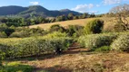 Foto 28 de Fazenda/Sítio com 1 Quarto à venda, 60000m² em Zona Rural, Conceição do Rio Verde