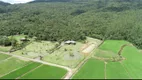 Foto 14 de Fazenda/Sítio com 4 Quartos à venda, 72000m² em Centro, Morro Grande