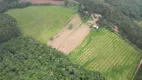 Foto 19 de Fazenda/Sítio com 4 Quartos à venda, 930000m² em Area Rural de Pocos de Caldas, Poços de Caldas
