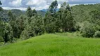 Foto 8 de Fazenda/Sítio à venda, 20000m² em Zona Rural, Marmelópolis