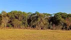 Foto 3 de Fazenda/Sítio à venda, 2100m² em , Bela Vista de Goiás