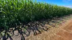 Foto 5 de Fazenda/Sítio à venda, 1700000m² em Zona Rural, Campo Grande