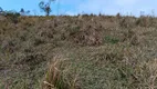 Foto 60 de Fazenda/Sítio à venda, 60000m² em Zona Rural, Natividade da Serra