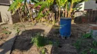 Foto 15 de Fazenda/Sítio com 2 Quartos à venda, 80m² em Area Rural de Artur Nogueira, Artur Nogueira