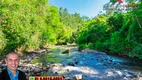 Foto 22 de Fazenda/Sítio à venda, 45000m² em Zona Rural, Três Coroas