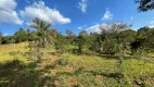 Foto 10 de Fazenda/Sítio à venda, 23000m² em Zona Rural, Florestal