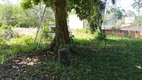 Foto 9 de Fazenda/Sítio com 2 Quartos à venda, 1200m² em Jardim Umuarama, Itanhaém