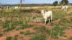 Foto 32 de Fazenda/Sítio à venda em Zona Rural, João Pinheiro