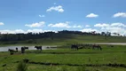 Foto 20 de Lote/Terreno à venda, 116000m² em Perico, São Joaquim