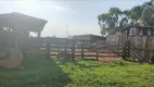 Foto 12 de Fazenda/Sítio à venda, 2420000m² em Zona Rural, Naviraí