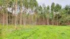 Foto 8 de Fazenda/Sítio com 3 Quartos à venda, 300m² em , Guaratuba