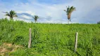 Foto 12 de Fazenda/Sítio à venda, 8000000m² em Centro, Bom Jardim